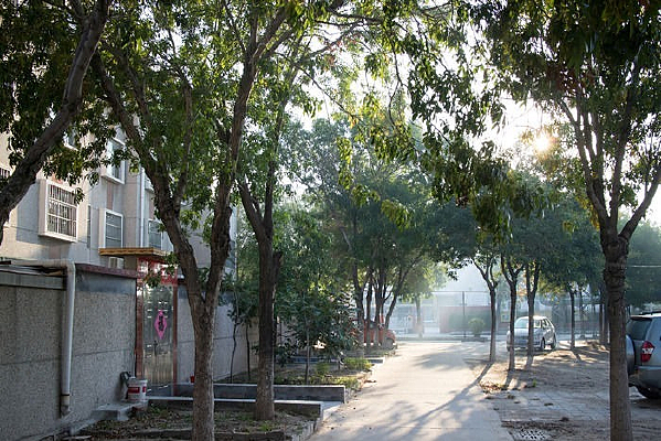 С��������