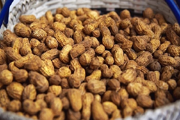 ������Ļ���