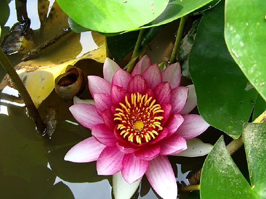 Ʈ����ˮ��ĺɻ�