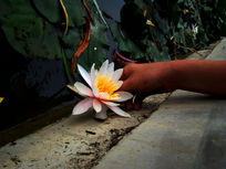 ���û���