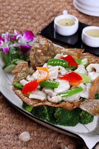 ������Ƭ