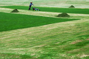 ����԰��