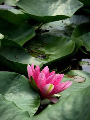 һ��һ��ĺɻ�