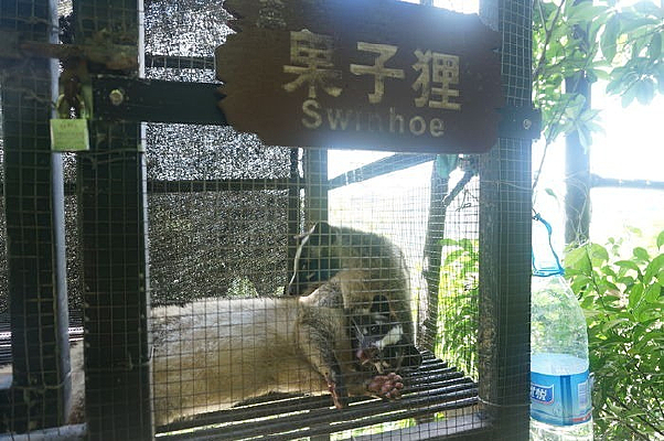 һ�Թ�����