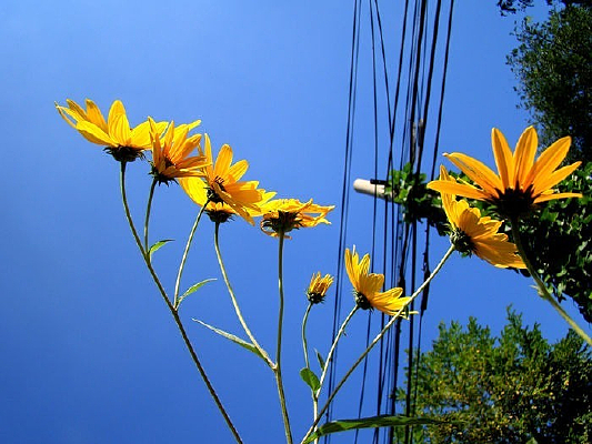 �����µľ�˟