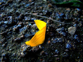 ���ϵľ��󻨵Ļ���