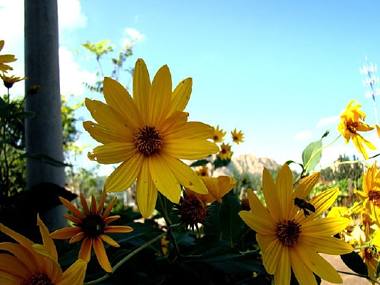 ���ػ���