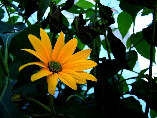 �����ľ���