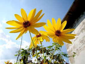 ���еľ���