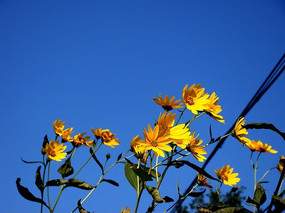 ����һ�������ľ���