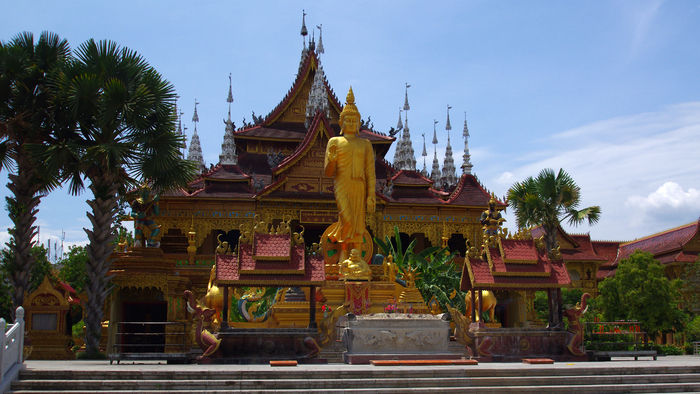 ��˫��������