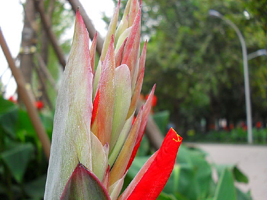 ���˽�����PS�ز�ͼ