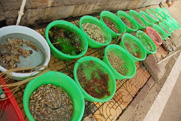 �ൺ�ֱߵĺ����г�