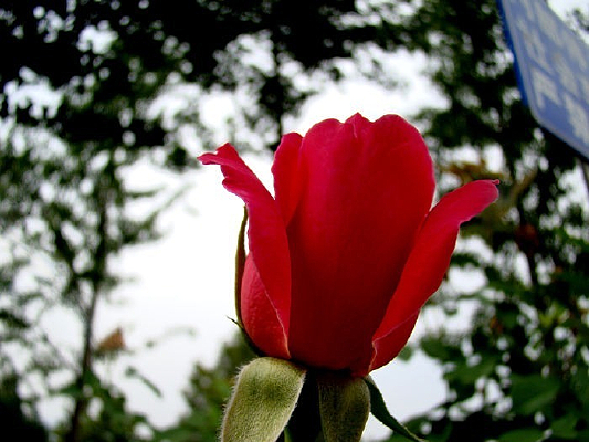 ������д�¼�����