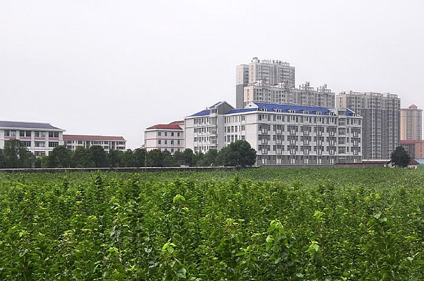 ������ۡ