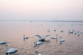 ���е����