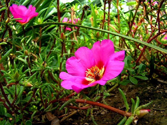 �������\