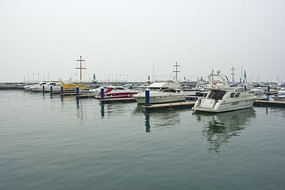 �������ֲ�