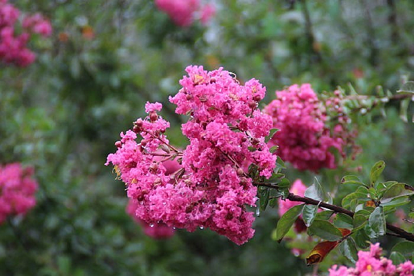 ���ۺ����߾ս�������ͼƬ