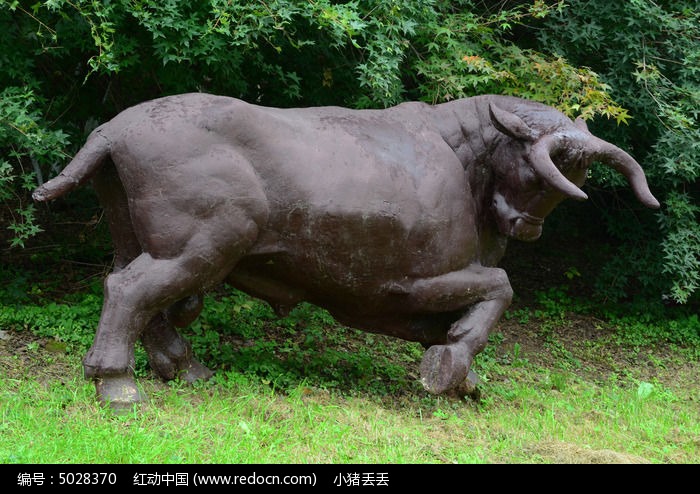 东海奔牛图片