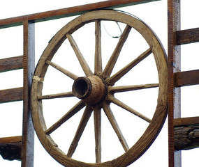 低碳环保的木头轱辘