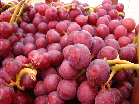 ����Ư������ɫ����