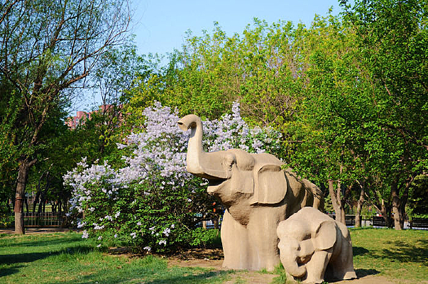 ������Ĵ���