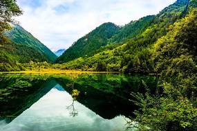 ����ľ������