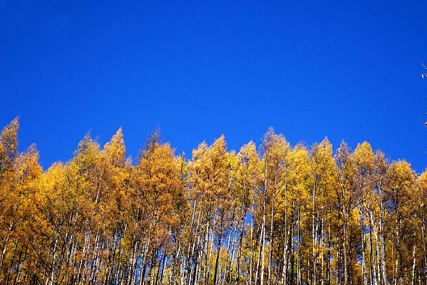 ��ɽ����ɫ