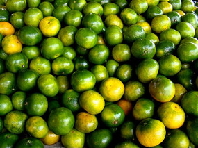 ������ʽ���