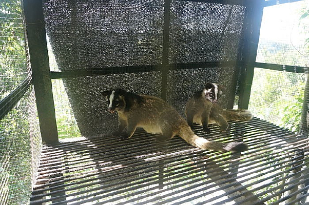 һ�Թ�����