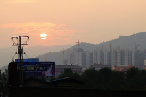 �żҽ�����