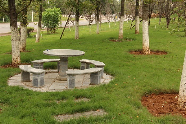 �ݵ��ϵ�ʯ����