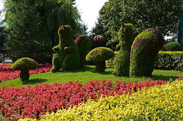 �ݵ��ϵ�����