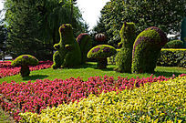 �ݵ��ϵ�����