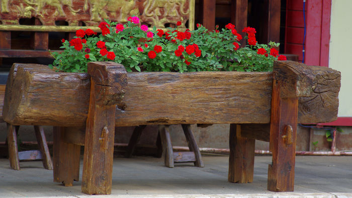 ��ľ�����Ļ�̳