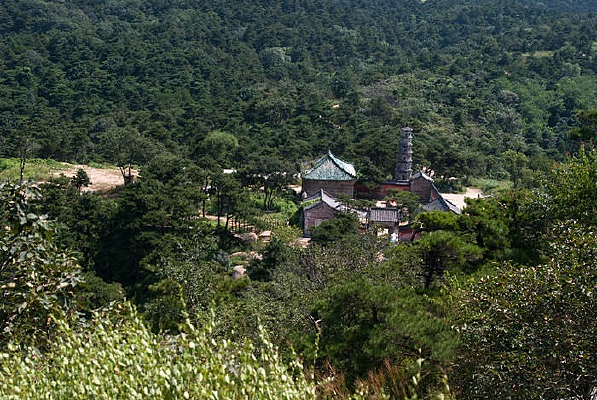 ��ɽ�е�����