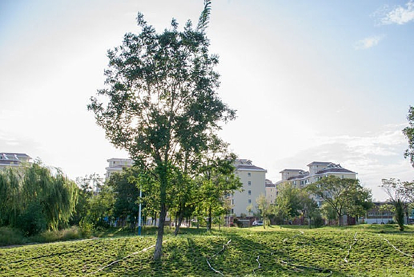 ��԰�ߵ�¥��