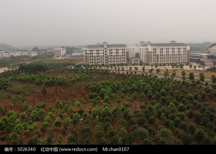 ��ľ���ѧ¥ͼƬ