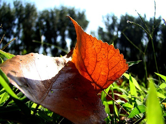 ͸������