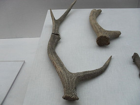 ����¹�ǲ���ݳ���