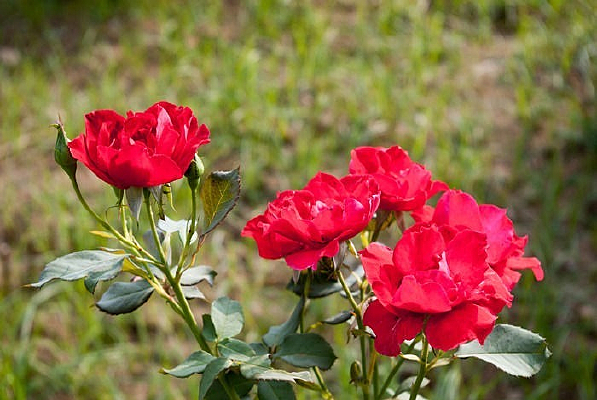 ���յ��¼�