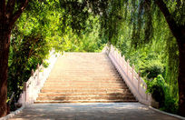 ˮ����ʯͷ·