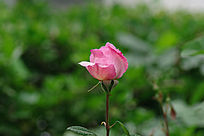 һ���¼�����