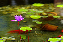 �����ʢ����˯��