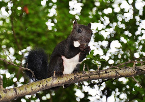 ���ɽ�ϵ�����