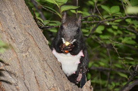 ���ɽ�������ڳ��ο͸��ļ���