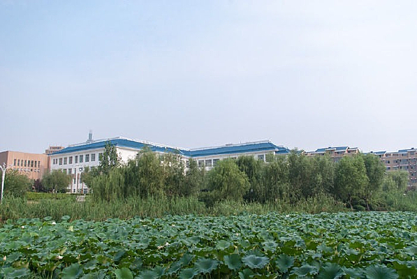 ������סլ����