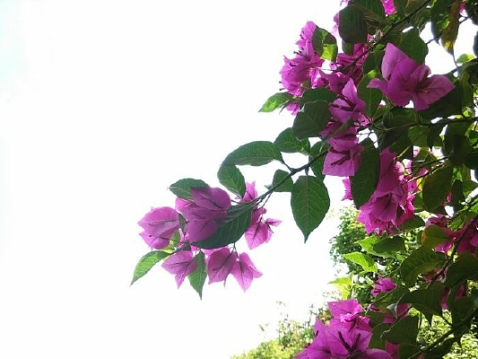 ����µ�÷��