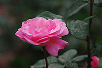 ���޵��¼���